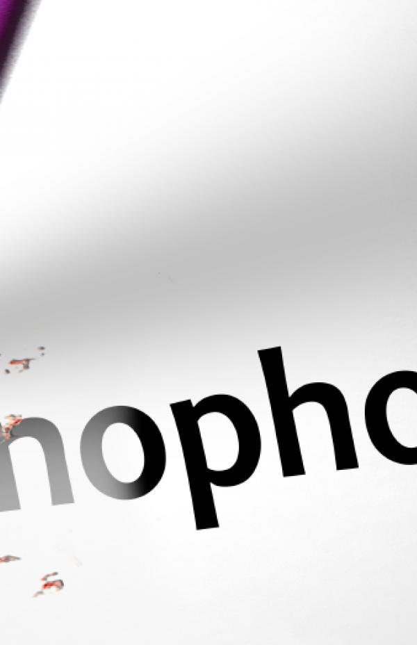 Xenofobia: su significado en los países de destino