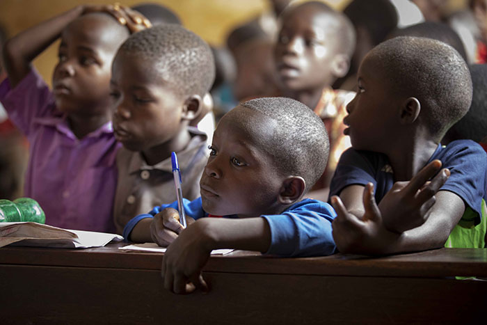 matriculaciones refugiados