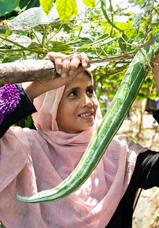 Refugiada rohingya refugiada rohingya