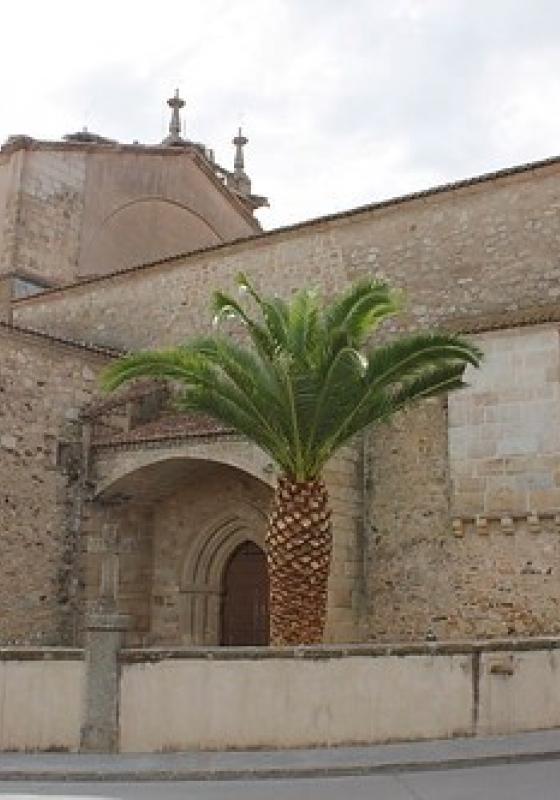 Casar de Cáceres Casar_de_Cáceres