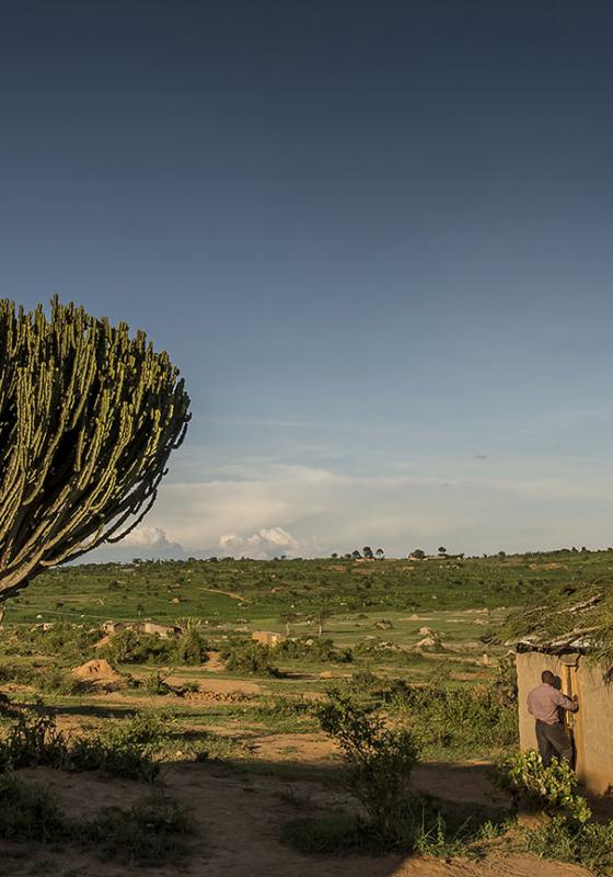 Paisaje en África Paisaje en África
