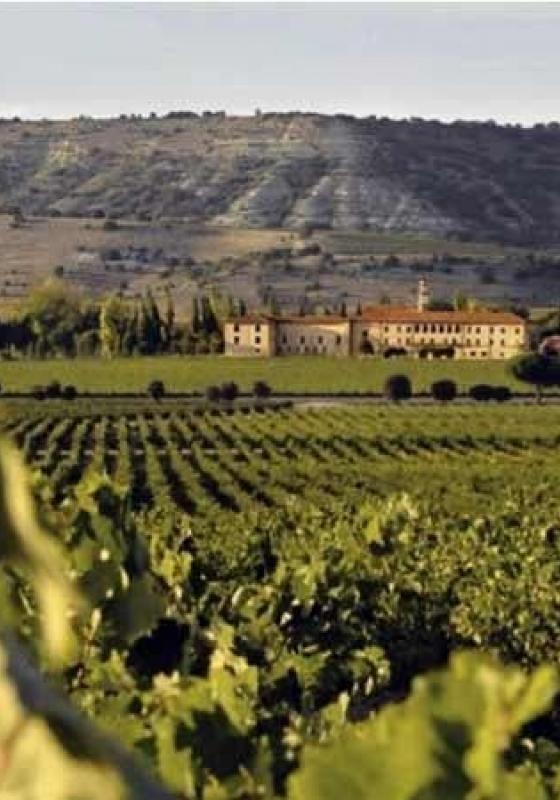 Sardón del Duero Sardón_Duero
