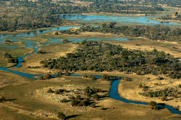 delta de Okavango