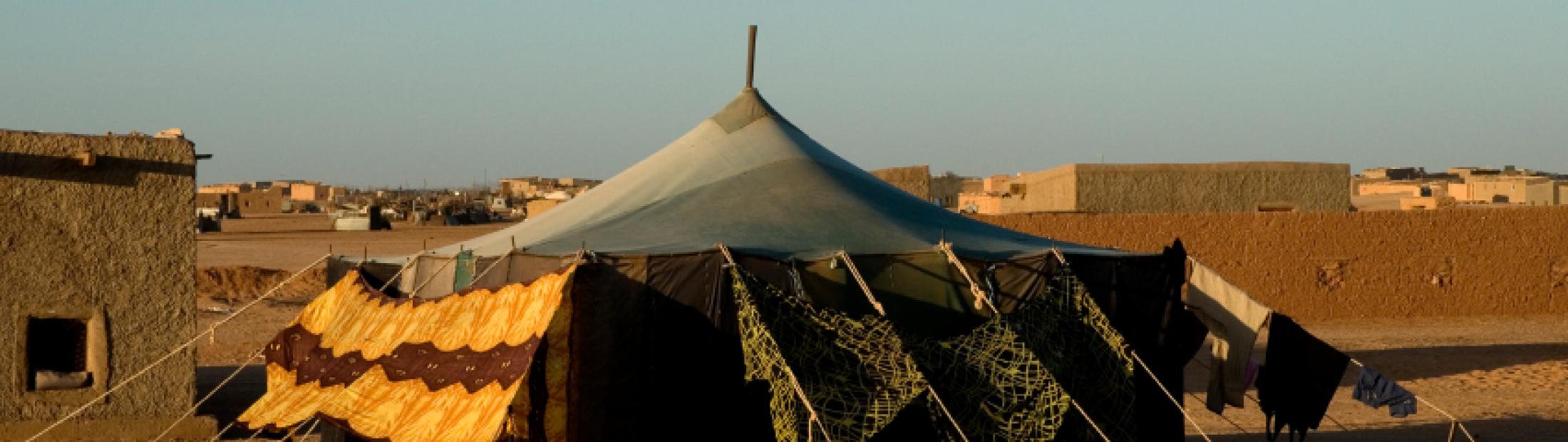 Refugiados saharauis: 40 años de vida en los campos