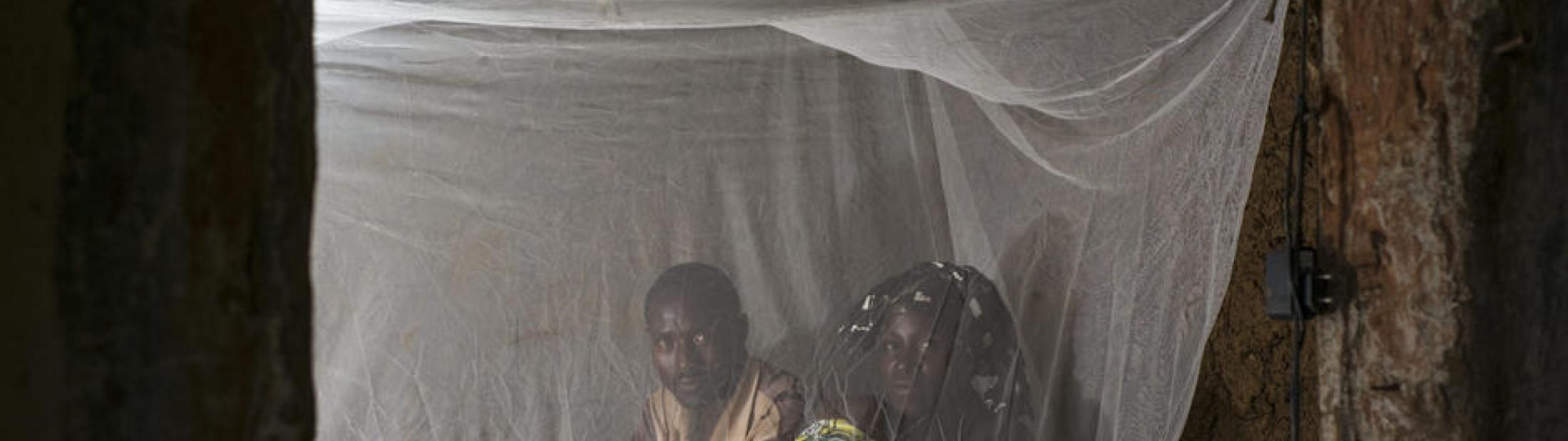 Malaria: tratamiento y prevención