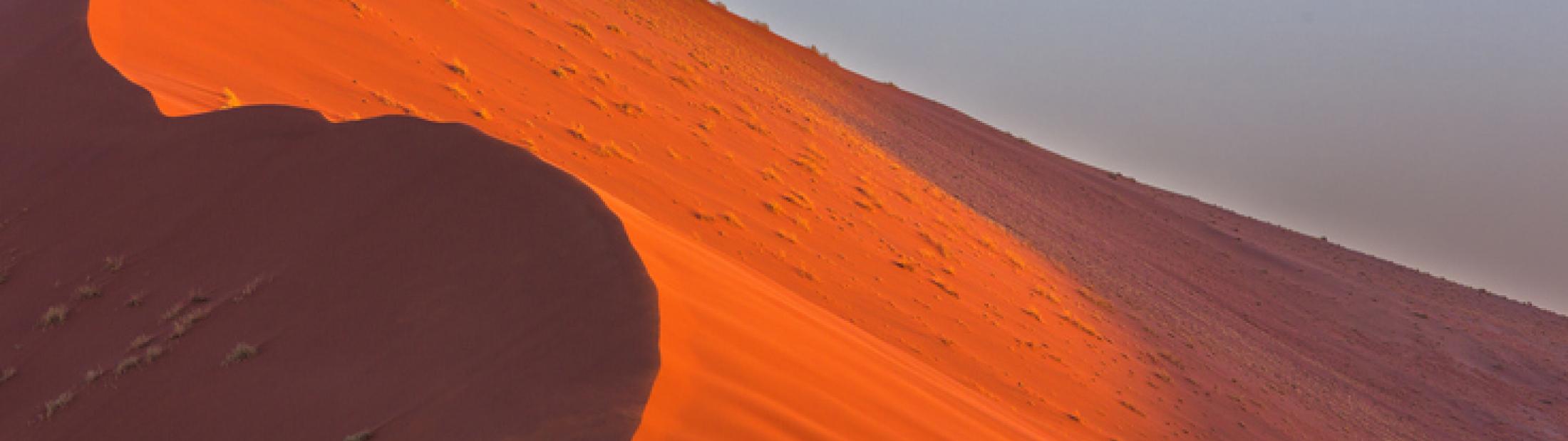 Los secretos del desierto del Namib