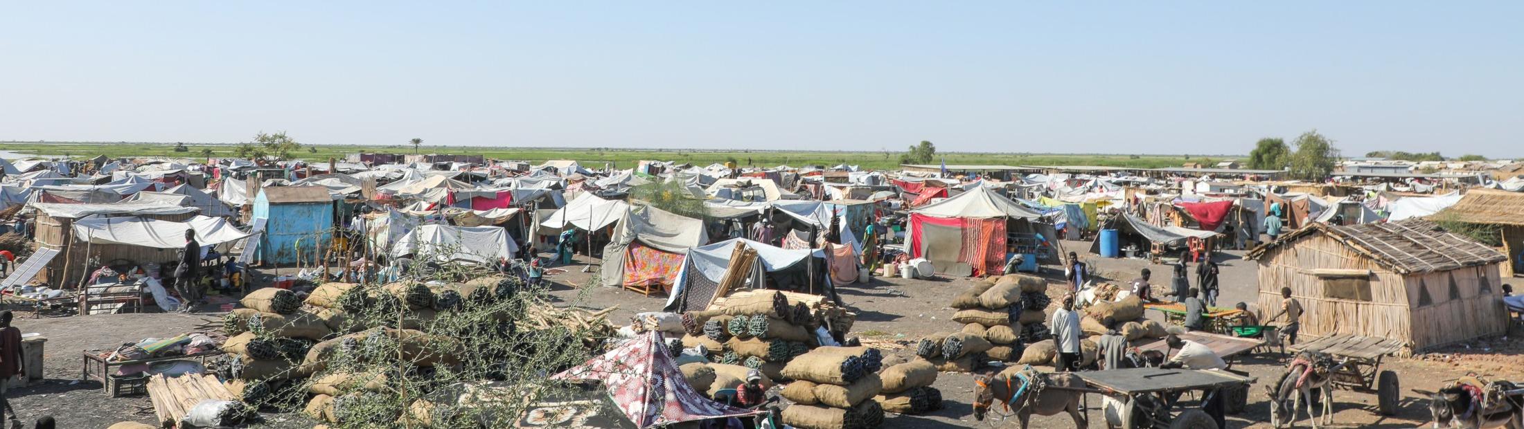 Emergencia en Sudán del Sur 