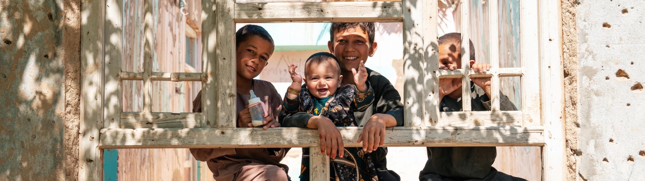 Gracias por formar parte  