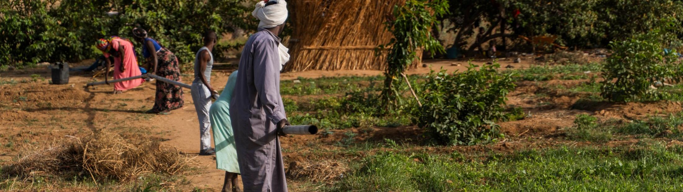 La Diputación de Cádiz contribuye al impulso de medios de vida agrícolas en los campos de población refugiada en Chad