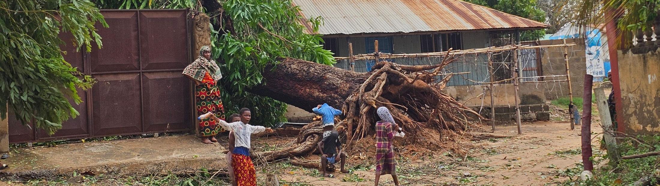 El ciclón Chido devasta el norte de Mozambique y deja miles de personas afectadas