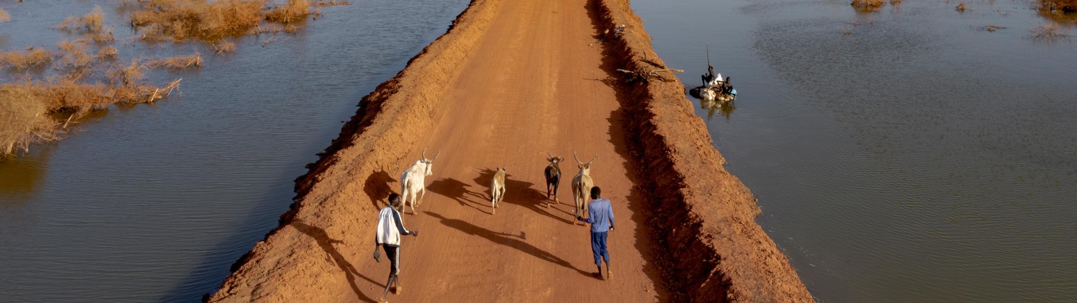 Cambio climático: una amenaza creciente para las personas que huyen de la violencia