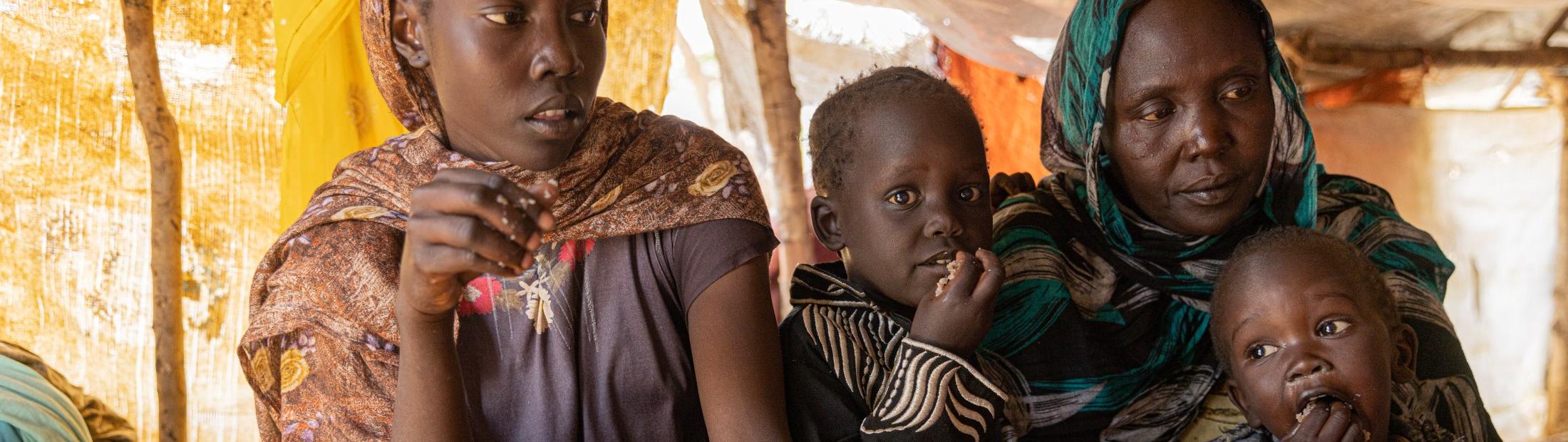 733 millones de personas pasan hambre en el mundo