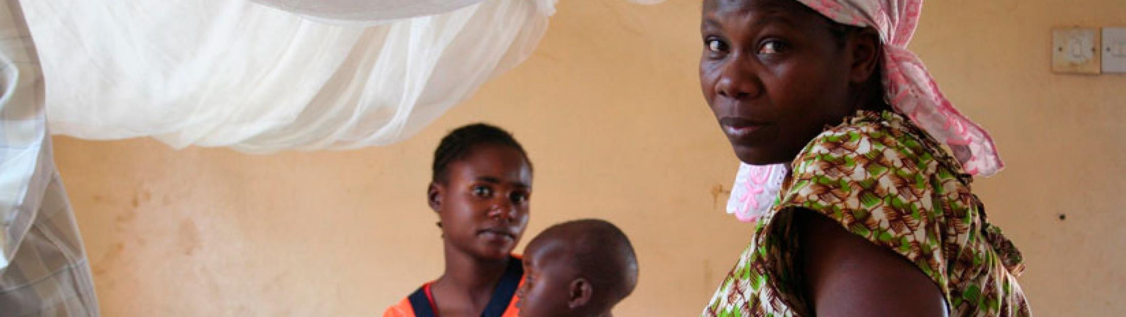 Malaria: una estrategia integral para su cura