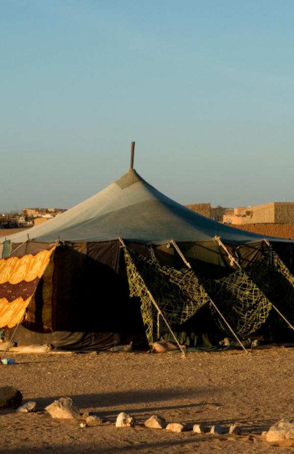 Refugiados saharauis: 40 años de vida en los campos