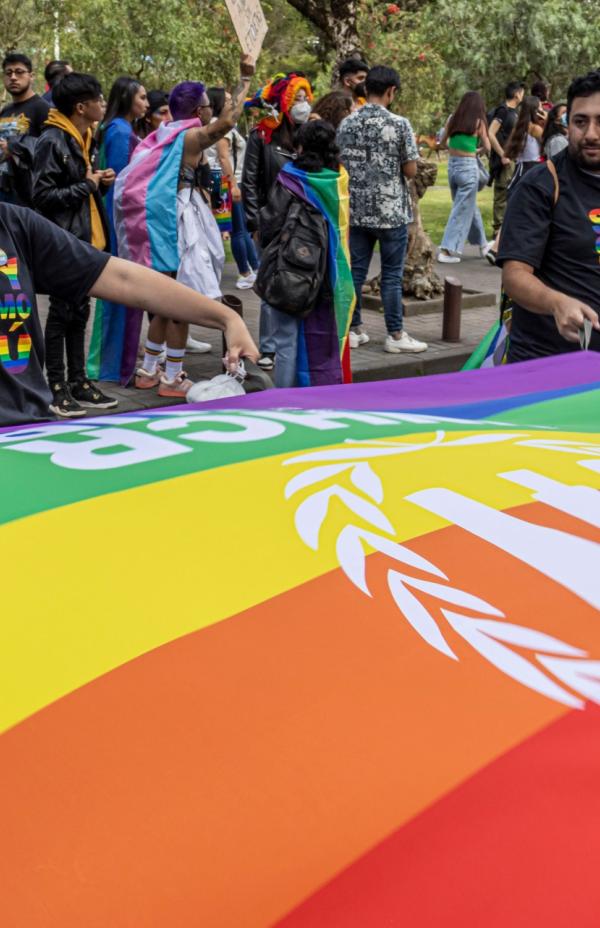 Día del Orgullo LGBTIQ+: ¿por qué se celebra?