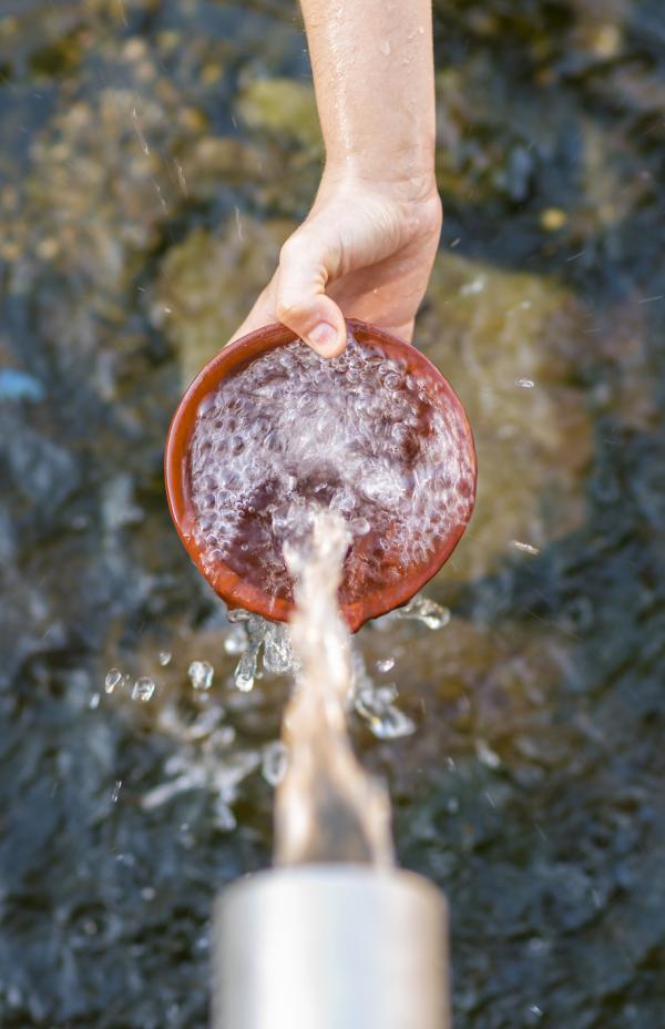 La importancia del agua para la vida en el planeta