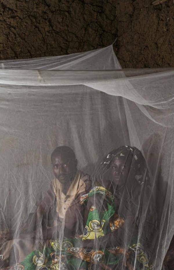 Malaria: tratamiento y prevención