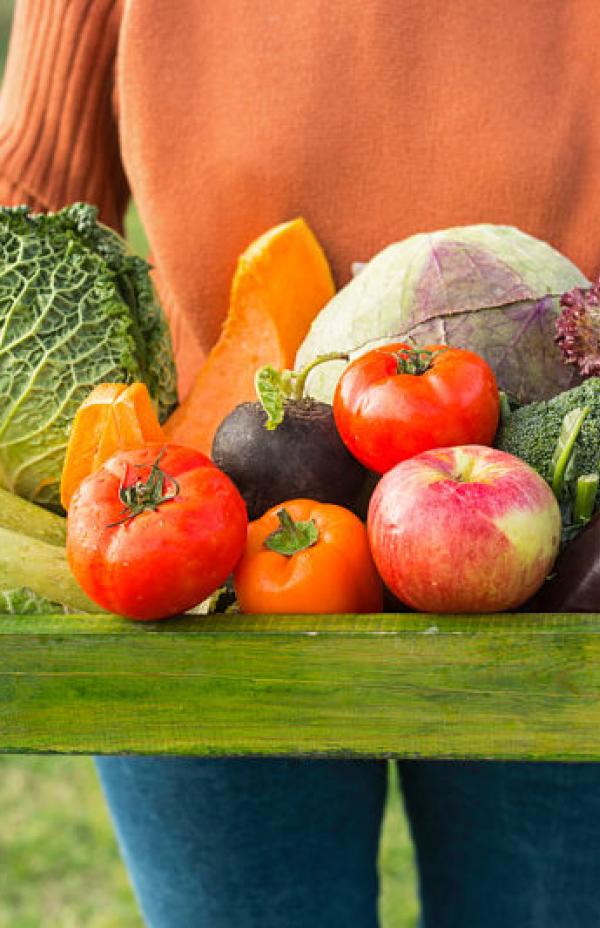 6 ventajas de la alimentación ecológica