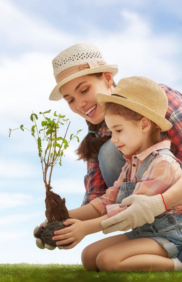 Guía Cómo Cuidar El Medio Ambiente Para Niños 9717