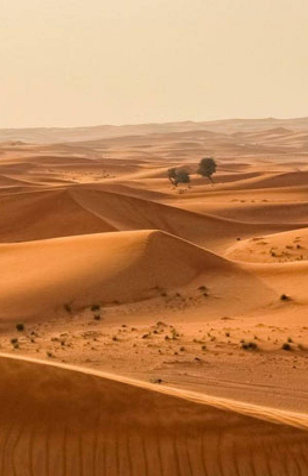 Desierto del Sahara: pasado y presente