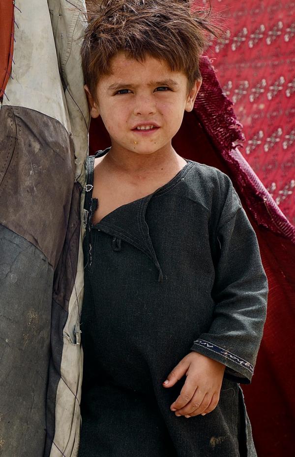 Gracias por firmar por los desplazados afganos