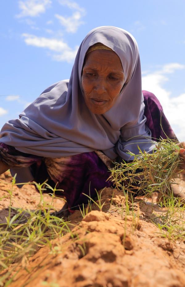 Crisis olvidadas: Este y Cuerno de África