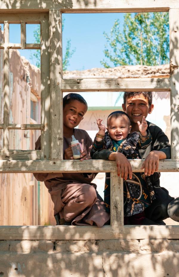 Gracias por formar parte  