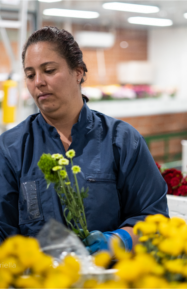 Fundación Ibercaja apuesta por un entorno más inclusivo y sostenible en Colombia