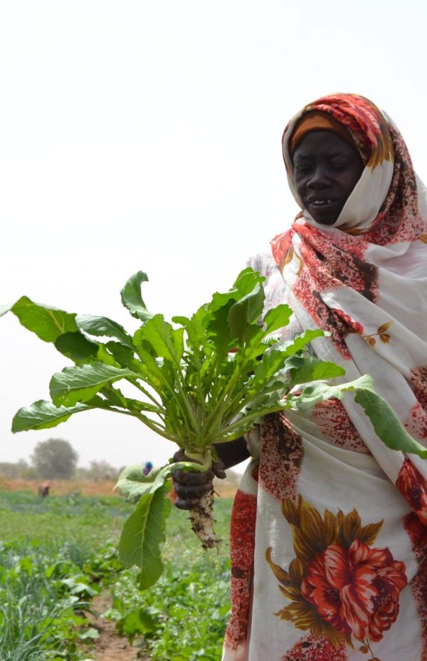 Viña Ardanza Solidario con las comunidades agrícolas del este de Chad