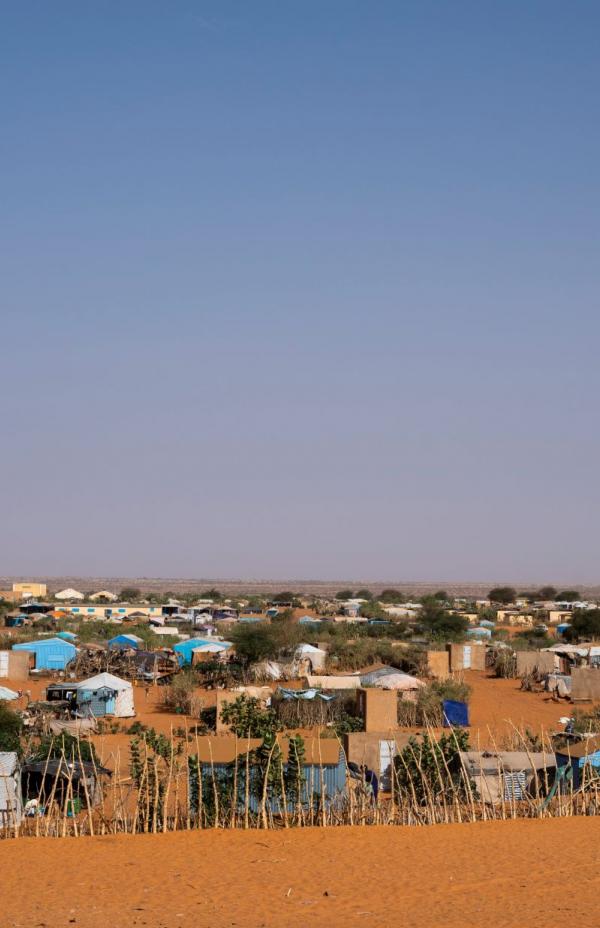 Población refugiada y local unen fuerzas en la lucha contra el cambio climático en Mauritania