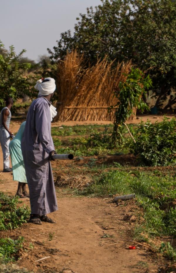 La Diputación de Cádiz contribuye al impulso de medios de vida agrícolas en los campos de población refugiada en Chad