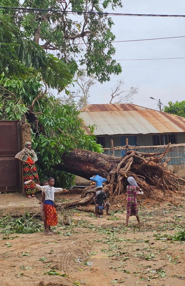 El ciclón Chido devasta el norte de Mozambique y deja miles de personas afectadas