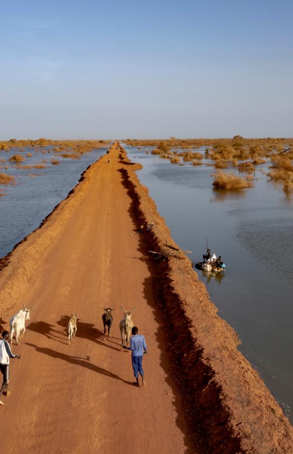 Cambio climático: una amenaza creciente para las personas que huyen de la violencia