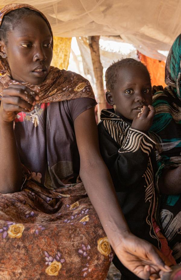 733 millones de personas pasan hambre en el mundo