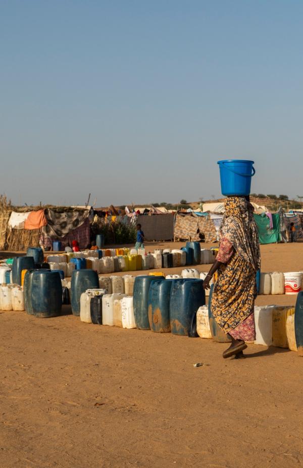 Equipo Directivo del Comité Español de ACNUR