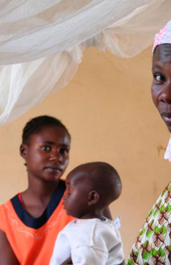 Malaria: una estrategia integral para su cura