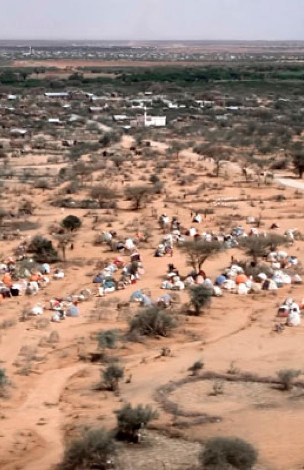 Refugiados en Somalilandia y Somalia