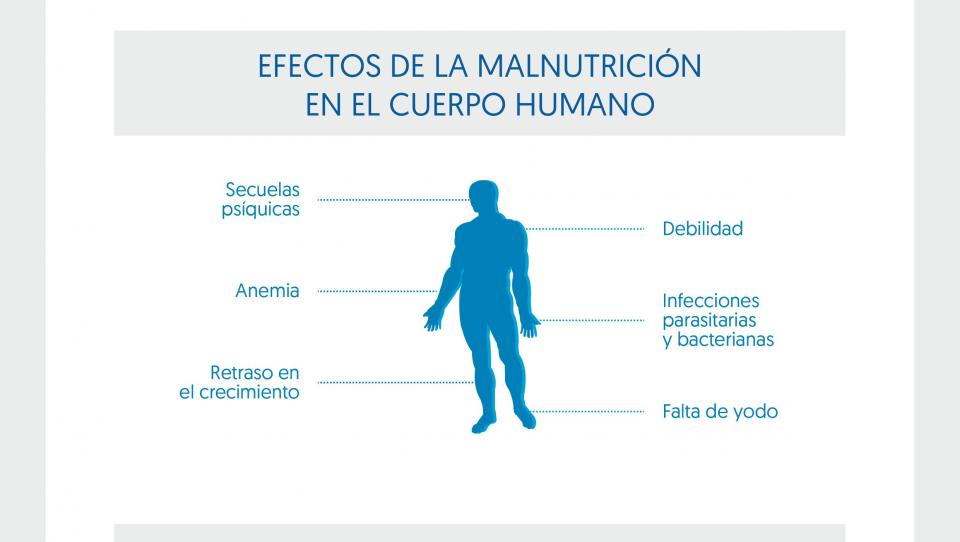 Infografía: ¿cómo combatir el hambre y la desnutrición de los refugiados?