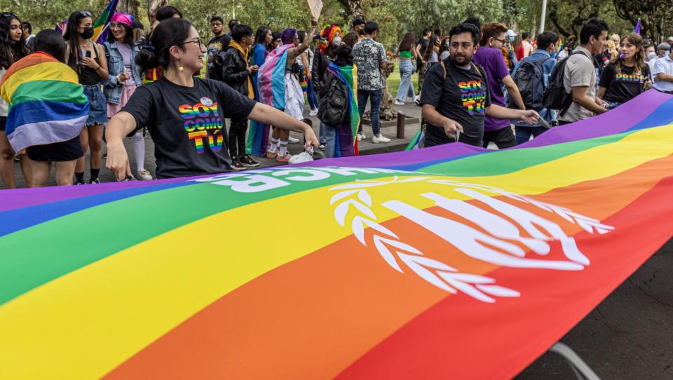 Día del Orgullo LGBTIQ+: ¿por qué se celebra?