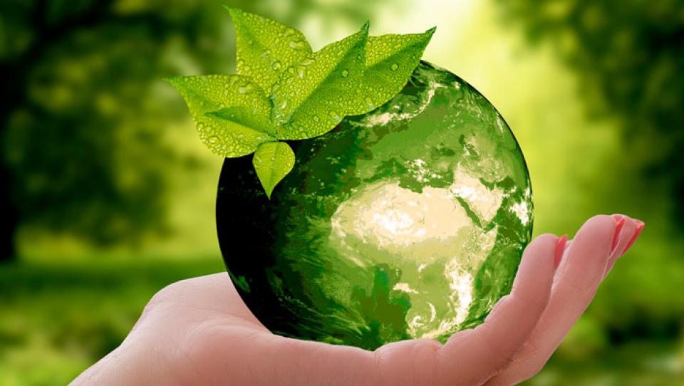 Día Mundial del Medio Ambiente: ¿qué se celebra?