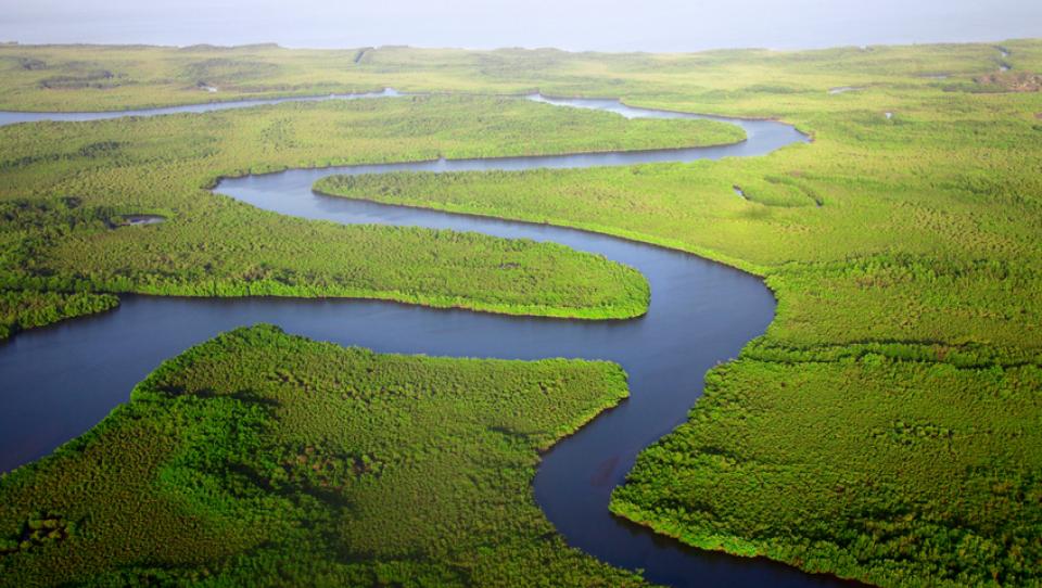 Gambia: lugares de interés si vas a viajar