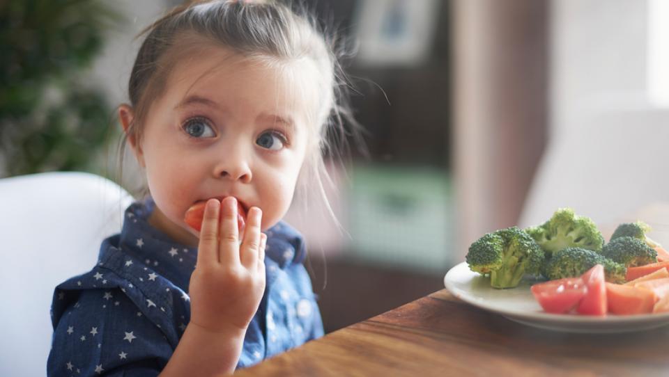 Comidas saludables para los niños durante el curso