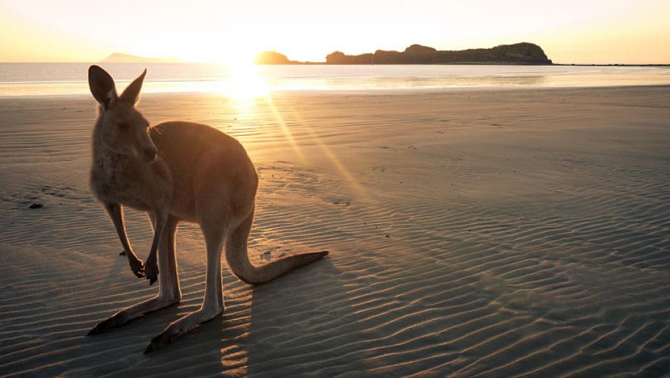 Historia de Australia: un breve resumen