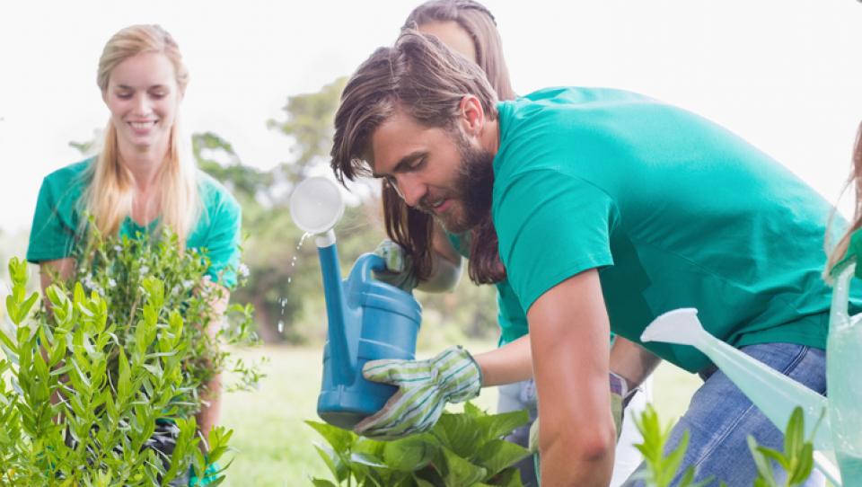 ¿Dónde hacer voluntariado en España?