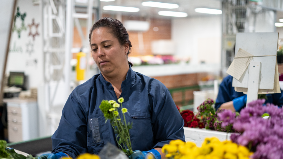 Fundación Ibercaja apuesta por un entorno más inclusivo y sostenible en Colombia