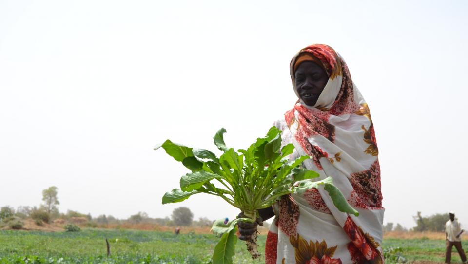 Viña Ardanza Solidario con las comunidades agrícolas del este de Chad