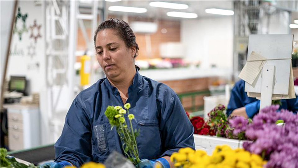 Fundación Ibercaja apuesta por un entorno más inclusivo y sostenible en Colombia