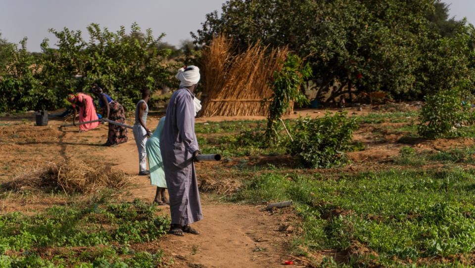 La Diputación de Cádiz contribuye al impulso de medios de vida agrícolas en los campos de población refugiada en Chad