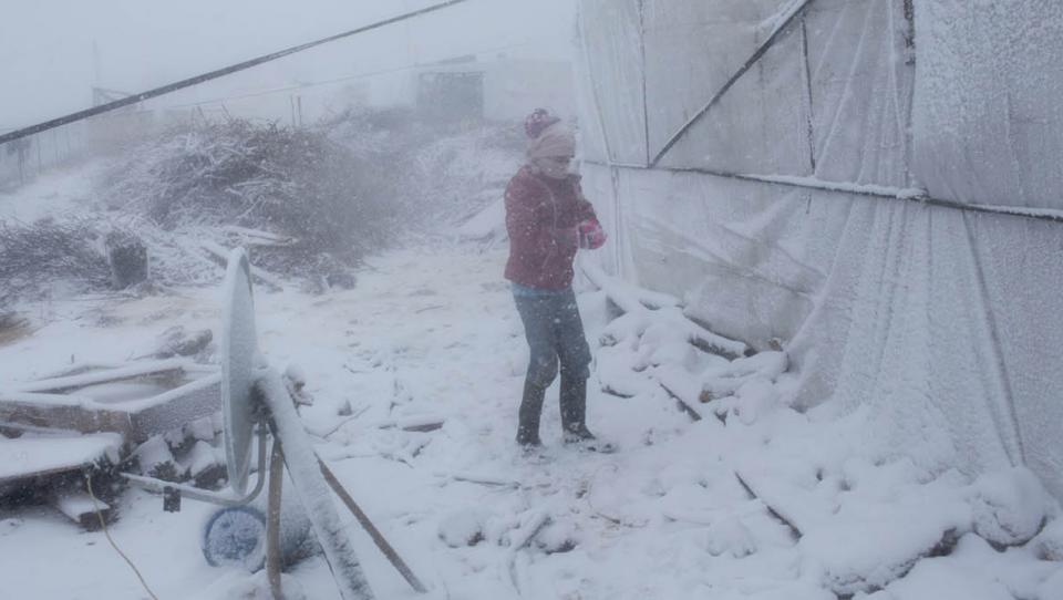 Plan de invierno de ACNUR: Siria, Irak y países vecinos