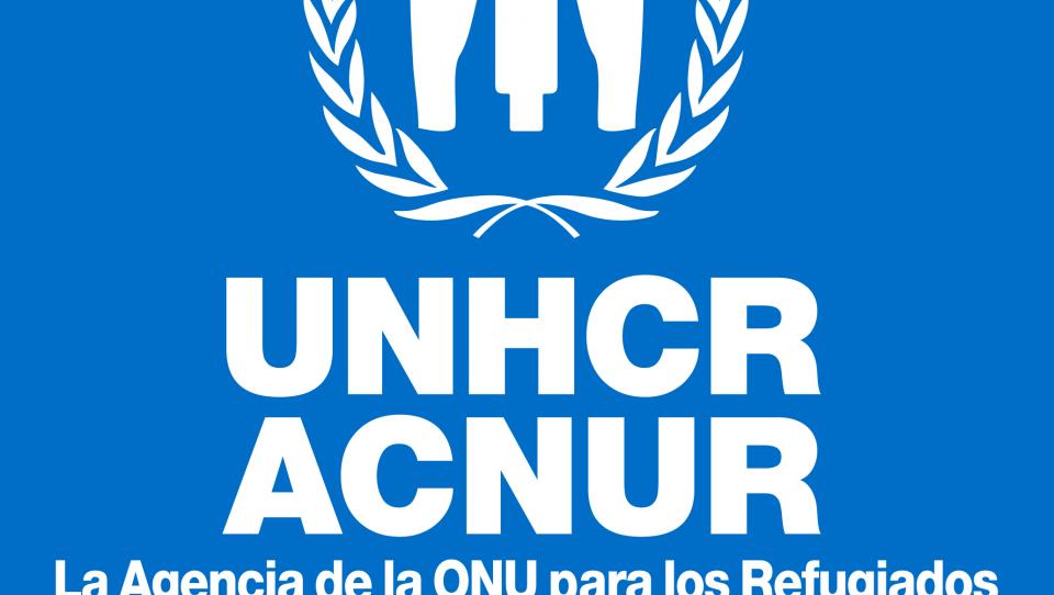 Memoria de Actividades 2013